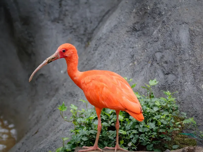 女朋友要分手怎么办?如何挽回已死心的女友，必学挽回技巧