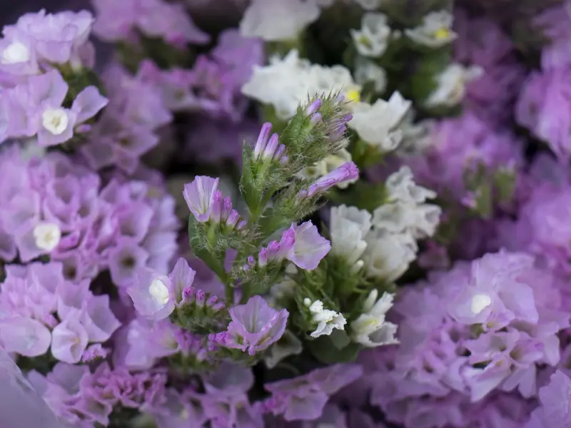 女朋友要分手要怎么办？挽回女友的方法集锦 ，挽回前女友