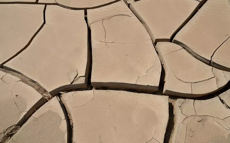 女友不同意复合怎么办？你在前女友眼中的稀缺性决定了女友是否愿意被你挽回