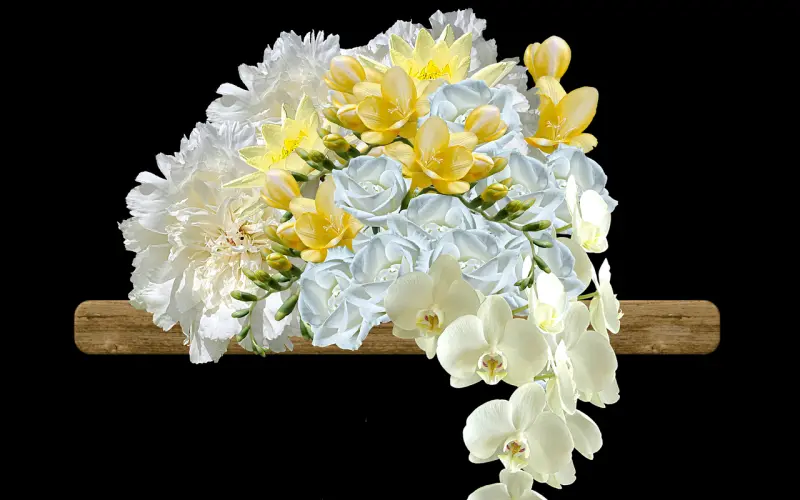 女朋友总是让我给她花钱怎么办？