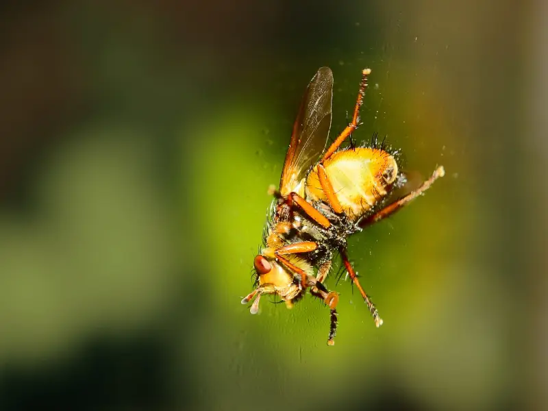 怀孕期间老公出轨怎么办? 聪明的女人会这样做