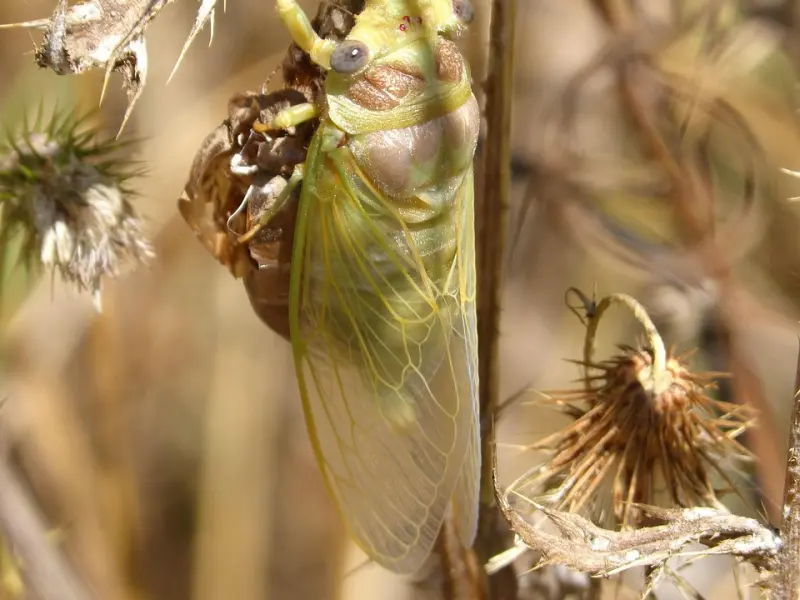 老公有小三怎么办→改变自我挽回老公的心☆