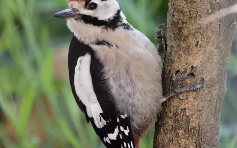 老公有小三怎么办？情感咨询师教你发现老公出轨时保持冷静