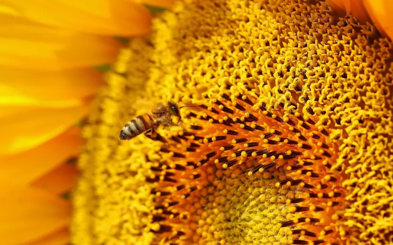 老公总是迷恋小三怎么办？这才是正确的挽回方法