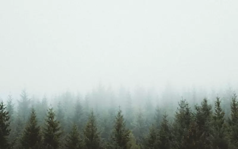 老公出轨了又和小三断不了怎么办(老公出轨真的能和小三断了吗)