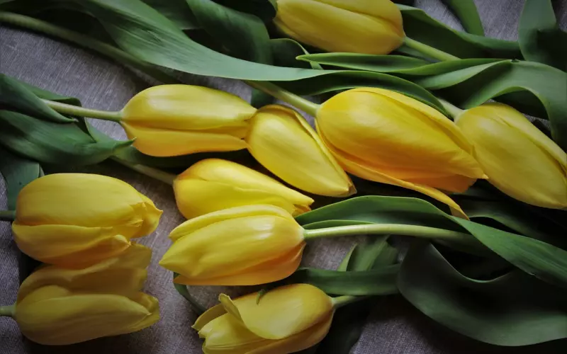 老公出轨了要离婚怎么处理？这些方法你一定要知道！