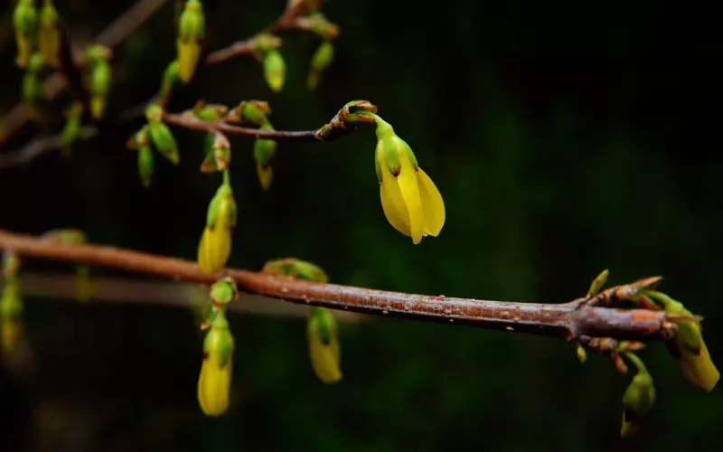 男方占有欲太强怎么办？