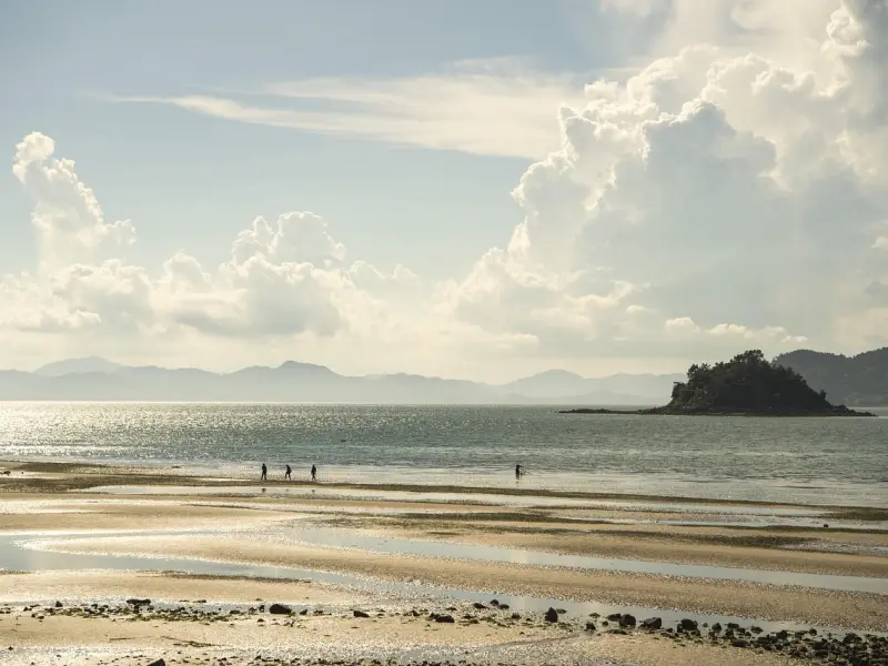 分手后对方出现新欢，怎么办？
