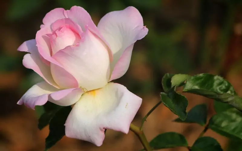 性格不合怎么办？挽回必须懂这点，你的努力才不会白费