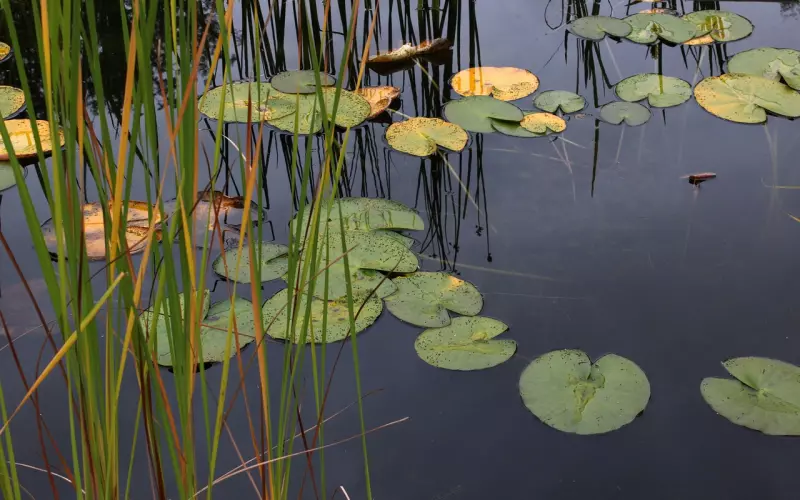挽回一直停滞不前该怎么办？