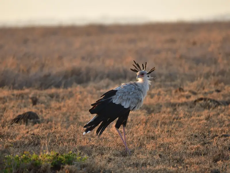 射手座男友要跟我分手怎么办？挽回射手座男友的步骤