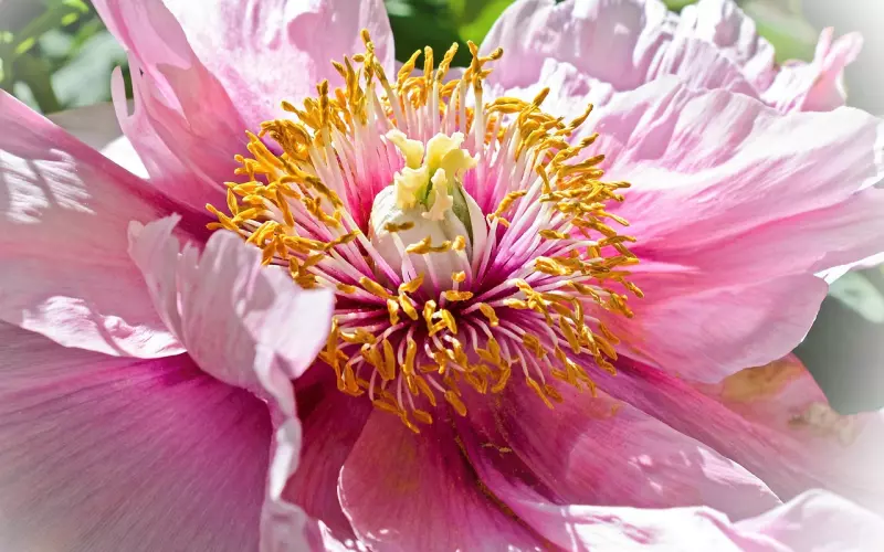 挽回过程中暴露了需求感怎么办