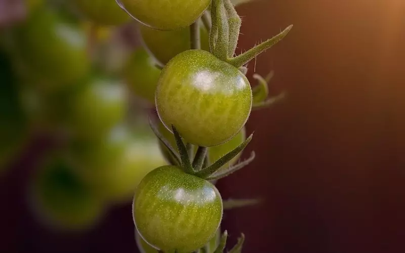 挽回les过程中，对方不领情怎么办？