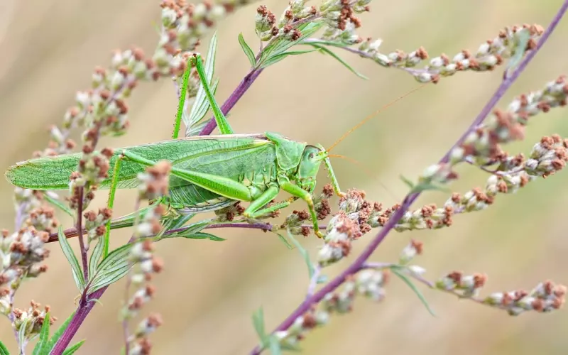 挽回后加了微信对方还是很冷漠怎么办