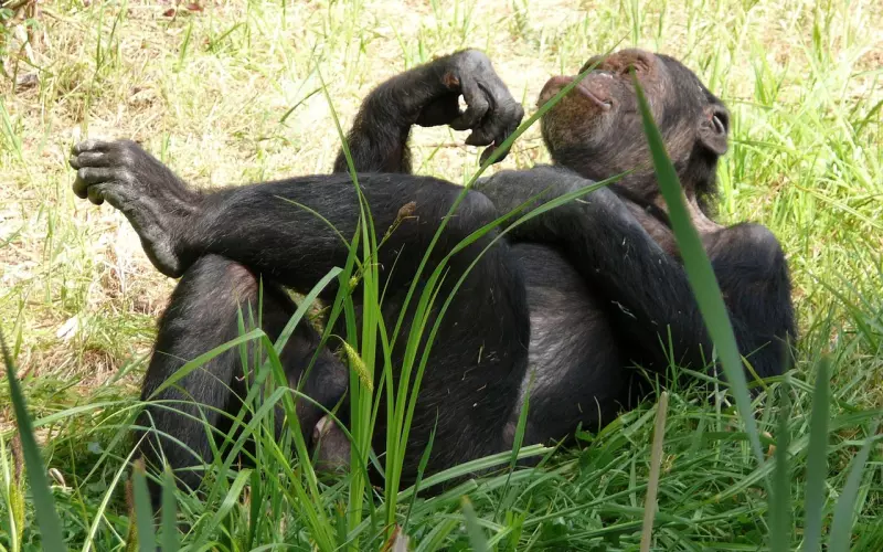 分手之后再也不见，我该怎么办？
