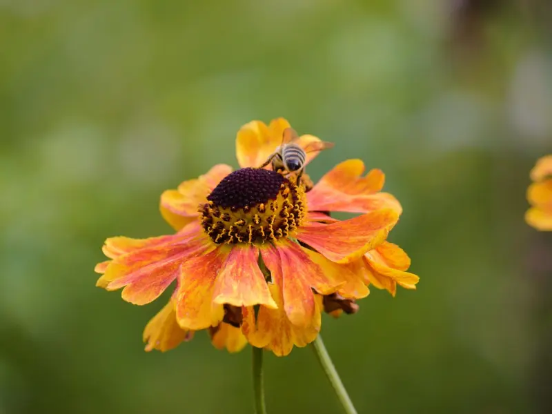 面对女友提出的分手我该做什么挽回？如何挽回说不爱的前女友