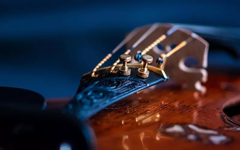 我该怎么做才能挽回他的心