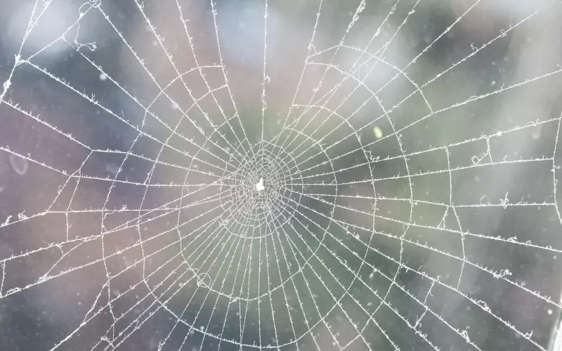 面对男友的冷淡态度，我该怎么做？