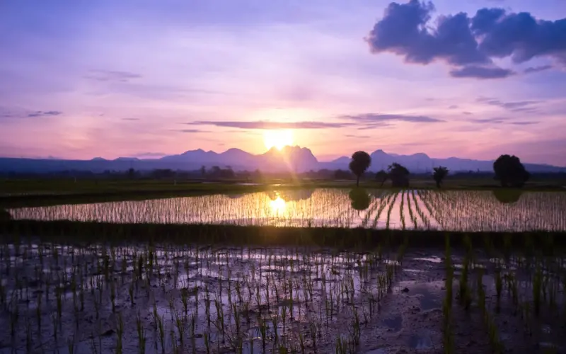 当被分手的时候，我们应该做些什么