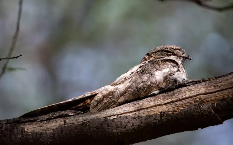 女人婚外情要避免哪些(如何避免婚外情被发现)