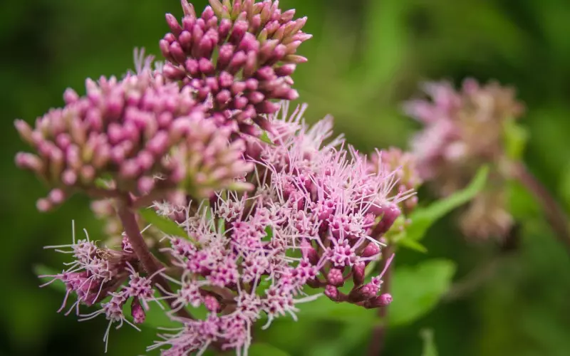 出轨后如何做，才能增加挽回成功几率？
