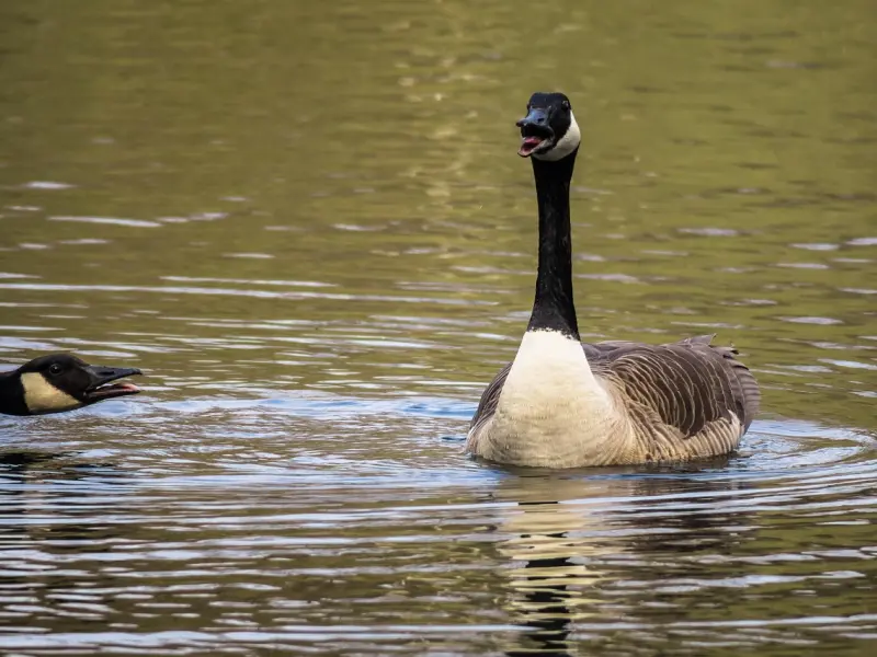 喜欢的女生和她的前任还有联系怎么办? 情感专家教你如何保卫自己的爱情