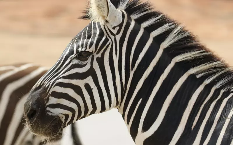 挽回时前任总是对你很抗拒怎么办？