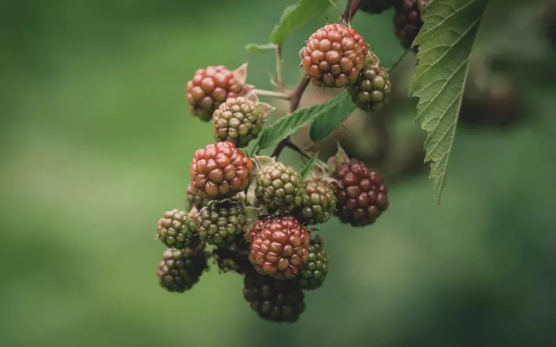 挽回过程中，你的前任不回信息怎么办？