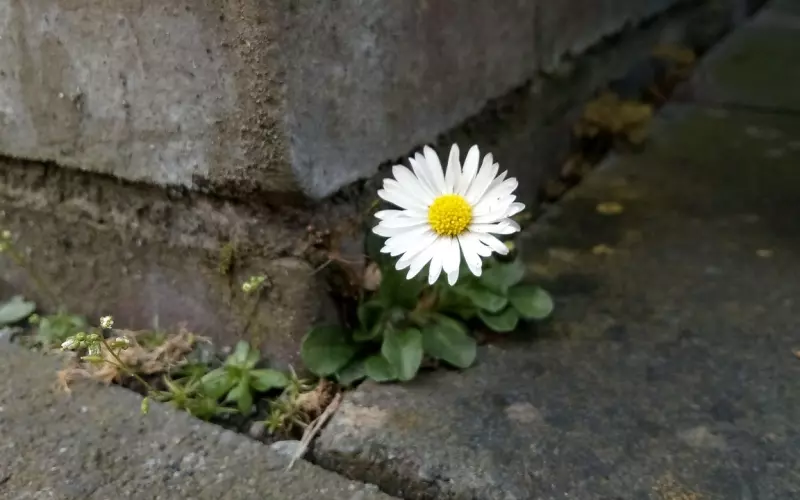 挽回中Ta态度不好怎么办？