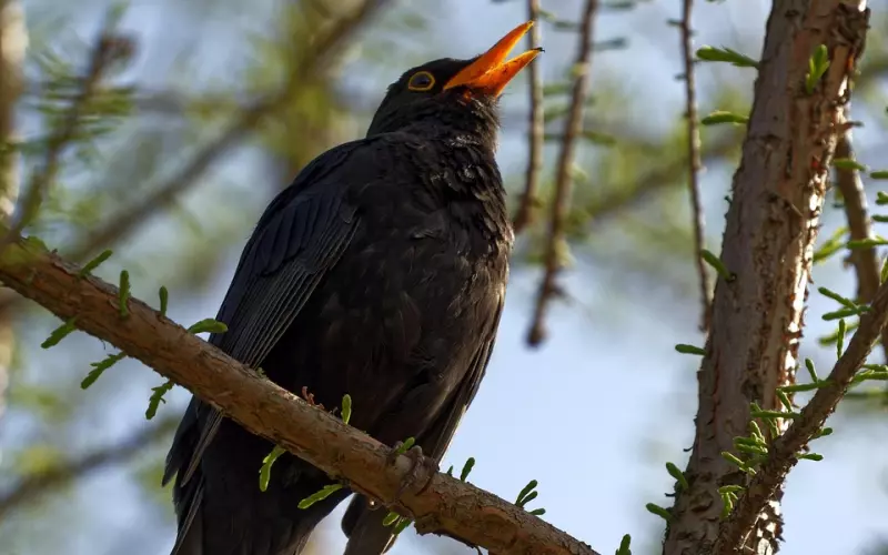 男友不跟你沟通怎么办？情感咨询师支招让逃避型男友乖乖出来面对!