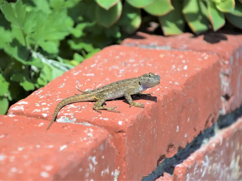 如果前男友回来找你应该怎么办？