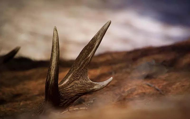 ​发现老公有出轨的痕迹该怎么办？挽回婚姻的方法步骤