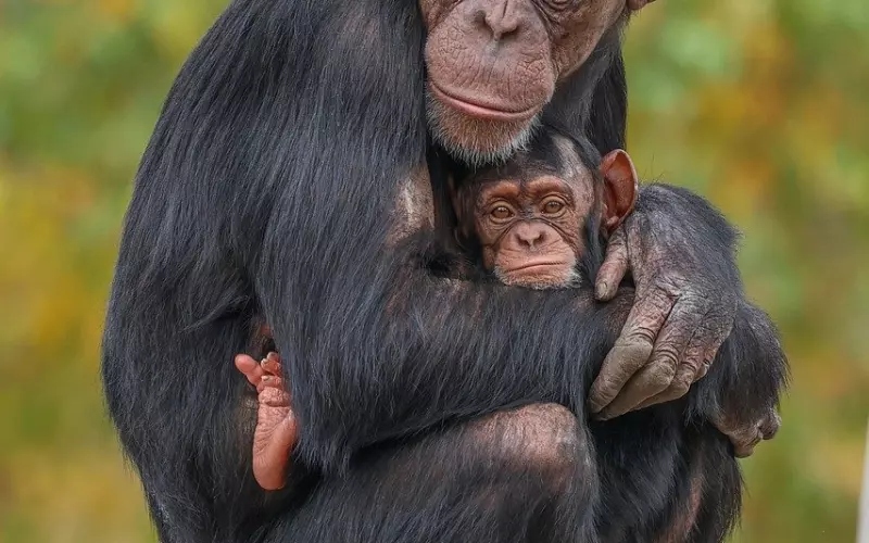 男友家人嫌弃你长得不好看怎么办
