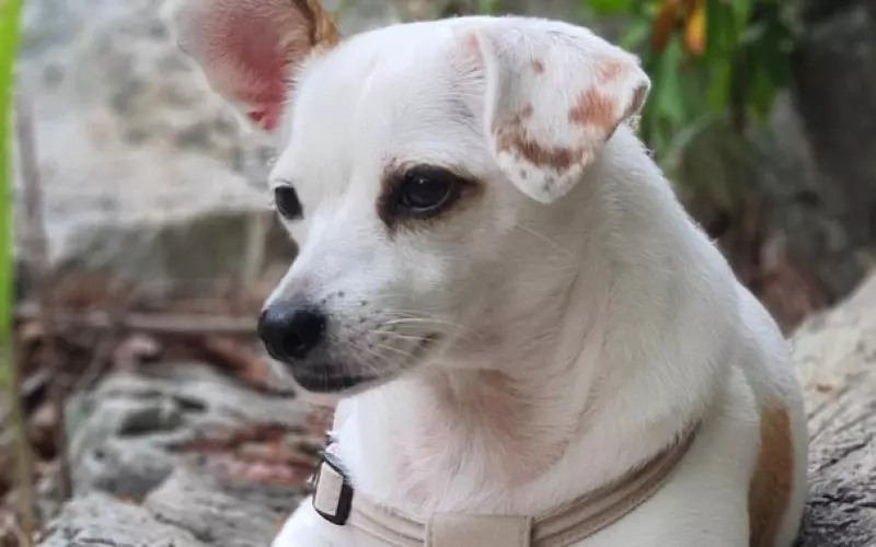 面对纠缠不清的前任，你该怎么做？