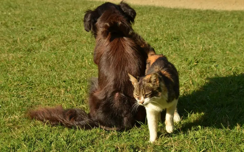 当老公有了出轨怎么办？一位情感专家的建议