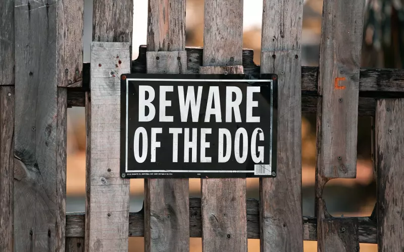 婚外情取证需要注意什么？夫妻共同财产范围有哪些？