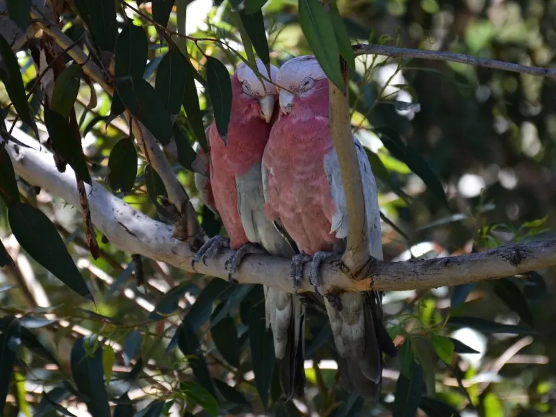 和男友同居时要注意什么