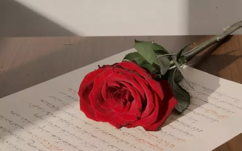 挽回爱情的话语应该怎样说(一封挽回信真能挽回你的爱情)