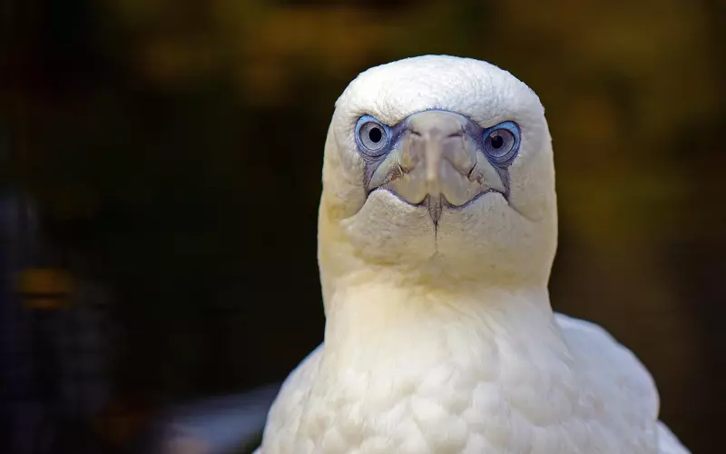 分手后什么情况值得你考虑挽回？