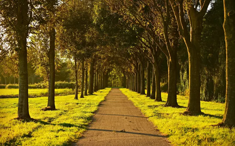 约会完毕后该做些什么？牢记3点女生会主动想你！