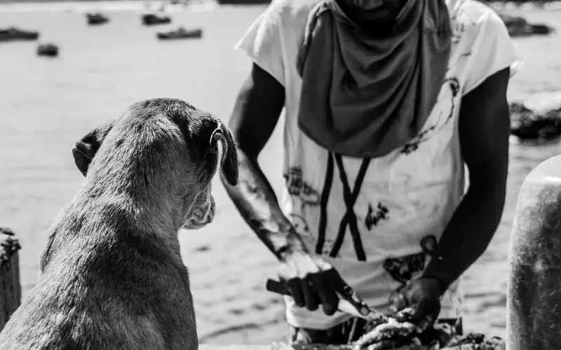 如果一个人不爱你怎么办，判断他不爱你的表现