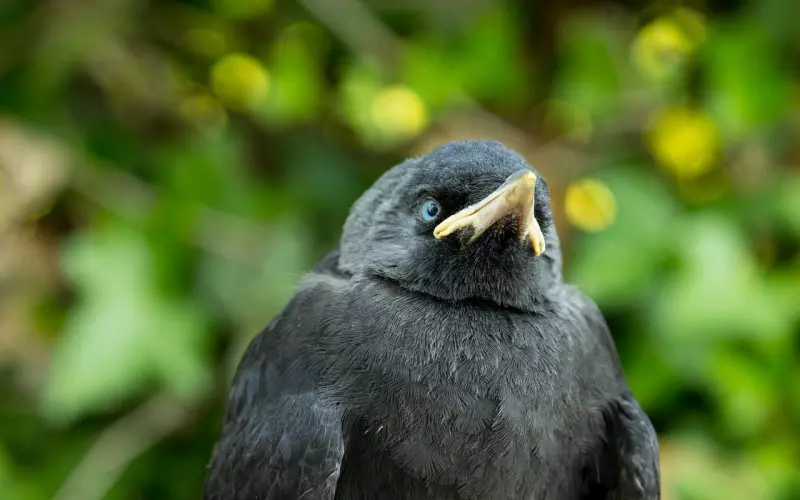无法挽回的爱情怎么办？三招教你逃出迷茫期