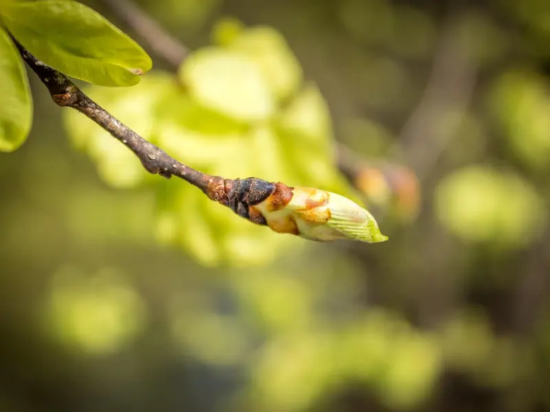 第一次失恋了怎么办，如何快速走出来