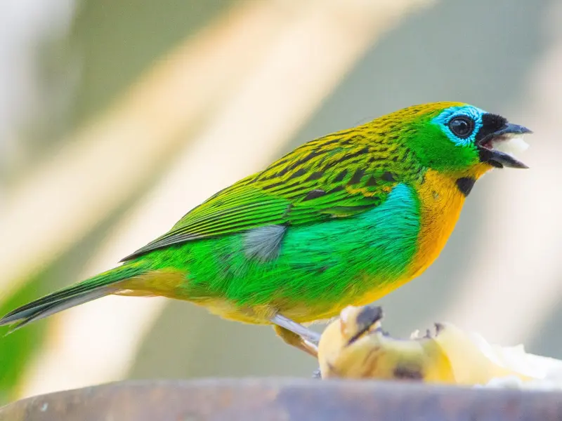 失恋了怎么办？这样做快速走出失恋痛苦