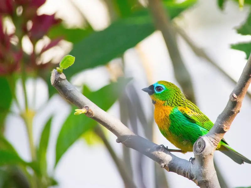 失恋了怎么办？如何走出情伤
