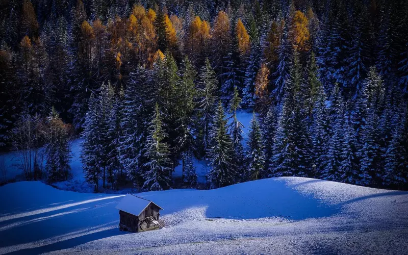 发现女友出轨怎么办