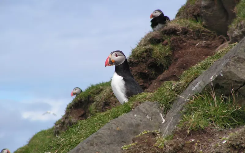 男友真性分手怎么办？只需三步挽回男友的心！
