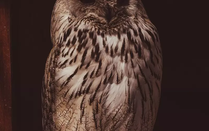 男友真性分手怎么办？只需三步挽回男友的心！