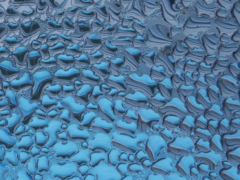 表白被拒怎么办