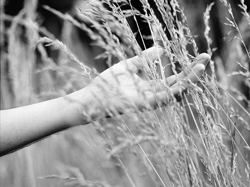 老公有外遇怎么办，高情商的女人都是这样做